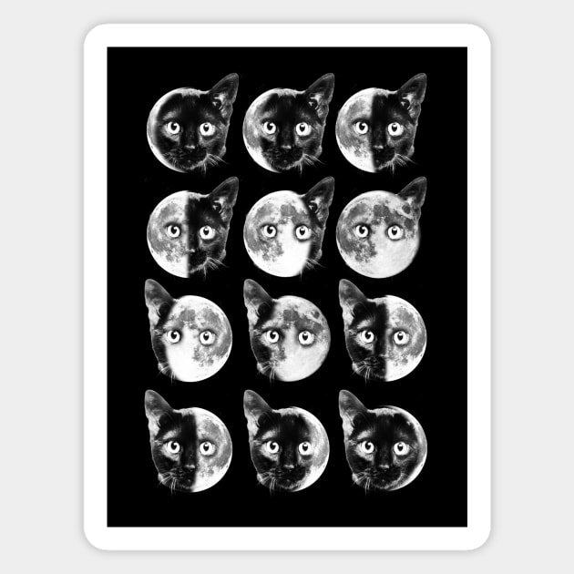 Cat moon phases Magnet by Dikhotomy